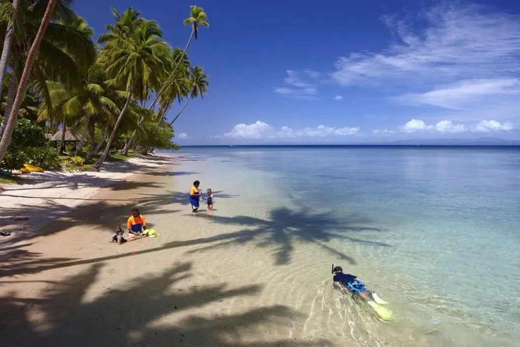 Une plage de sable blanc bordée de palmiers, avec des personnes se baignant et faisant du snorkeling dans une eau turquoise.