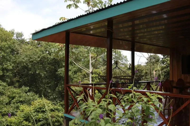 Terrasse en bois avec hamac donnant sur une végétation luxuriante.