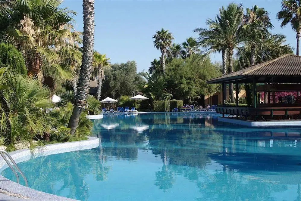 Une piscine bleue bordée de palmiers et de transats sous le soleil.