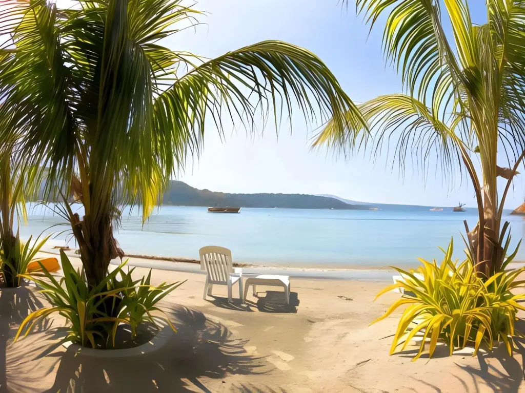 Une plage de sable fin bordée de palmiers et de chaises longues.