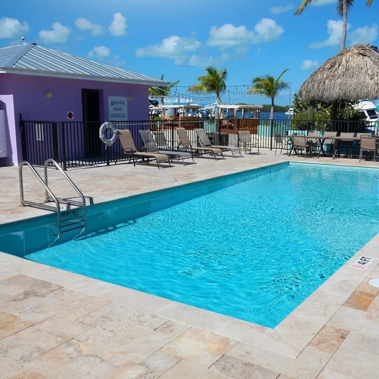 Une piscine rectangulaire turquoise bordée d'une terrasse ensoleillée avec des transats.