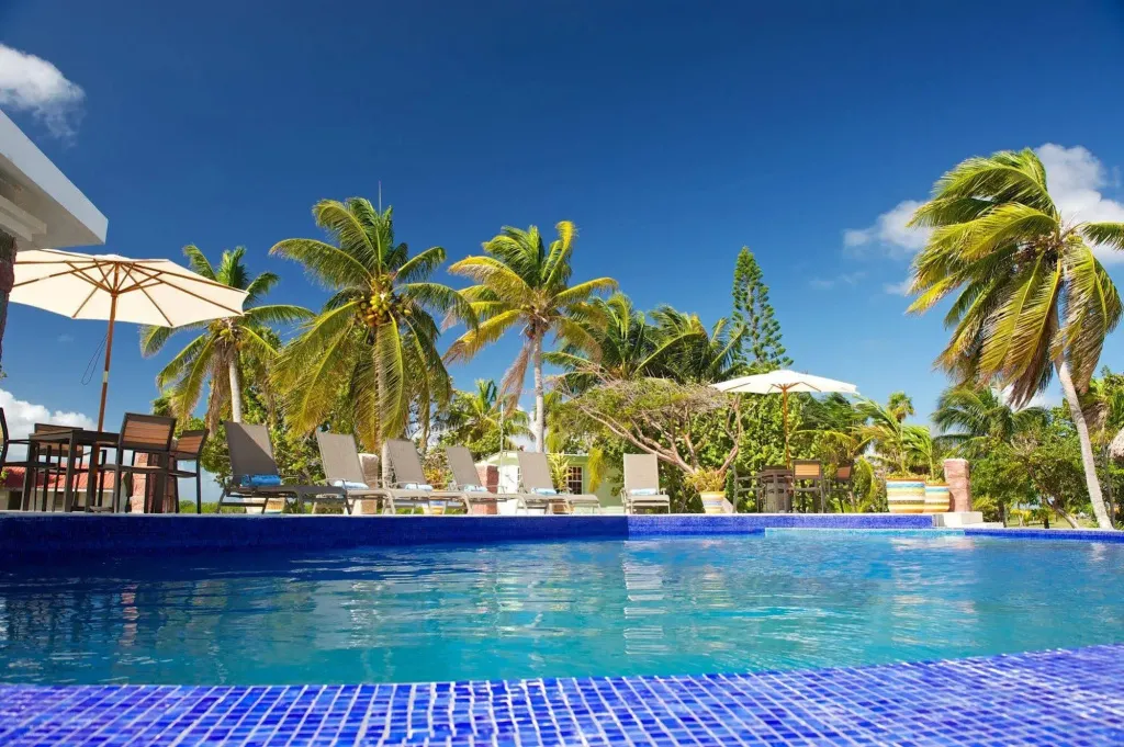 Transats et parasols bordent une piscine turquoise sous des palmiers.