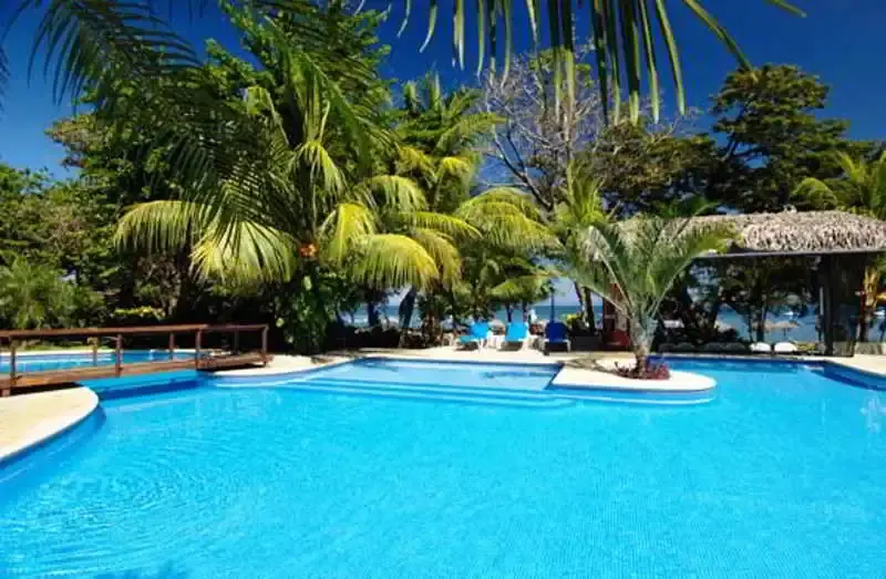 Une piscine turquoise bordée de végétation luxuriante invite à la détente.