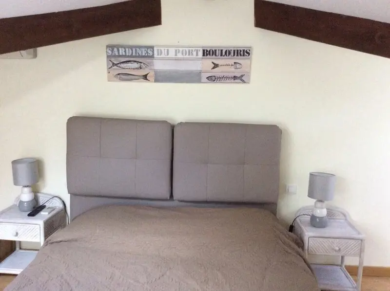 Une chambre à coucher avec un grand lit et deux lampes de chevet.