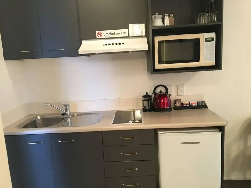 Une kitchenette équipée avec un évier, des plaques de cuisson et un micro-ondes.