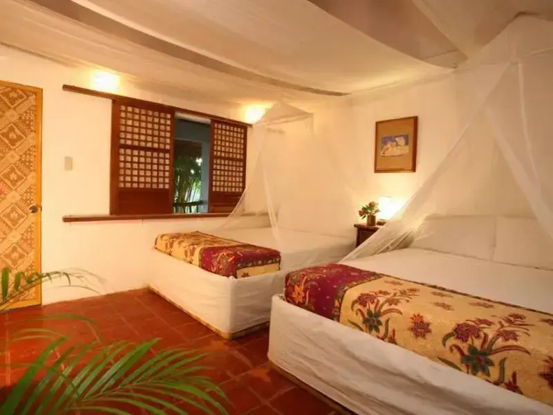 Une chambre lumineuse avec deux lits simples et moustiquaires.