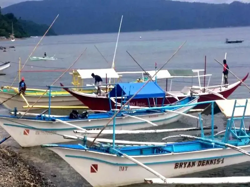 Des bateaux colorés sont amarrés sur une plage de galets face à la mer.