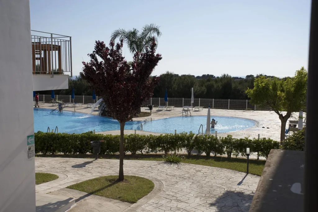 Une piscine ensoleillée avec des transats et des parasols.
