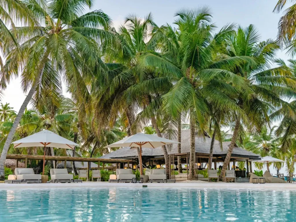 Une piscine bordée de transats sous des parasols, avec des palmiers en arrière-plan.