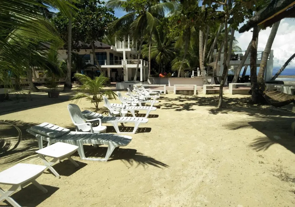 Transats alignés sur une plage de sable fin bordée de palmiers.