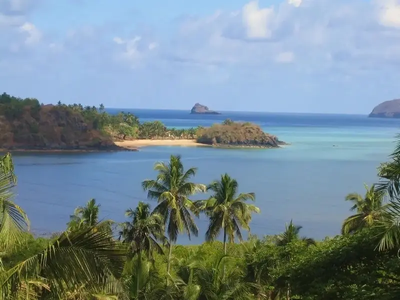 Vue aérienne d'une crique bordée de palmiers et de plages de sable clair.