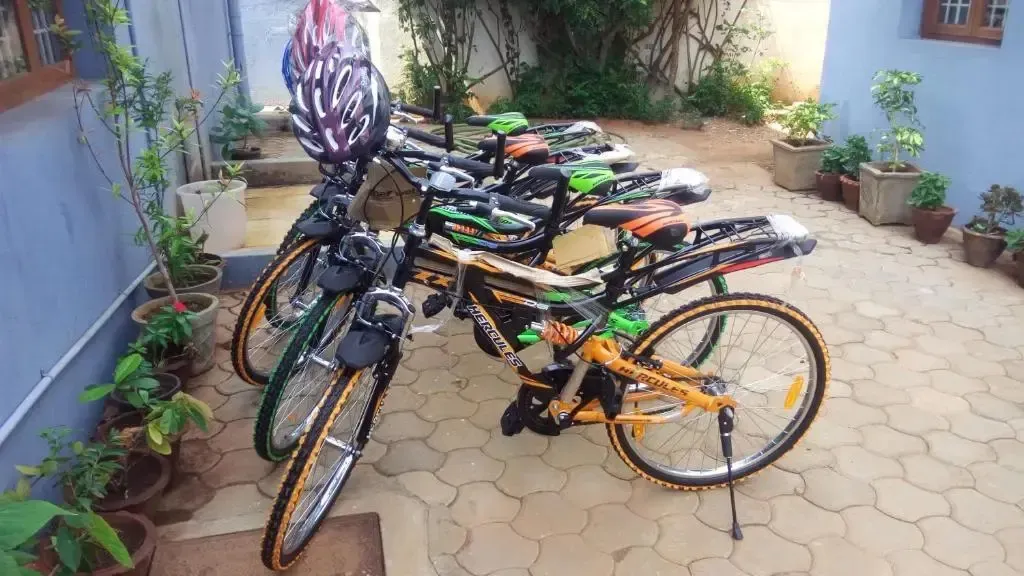 Des vélos sont garés sur une cour pavée, entourés de plantes en pot.