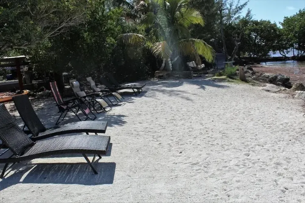 Transats alignés sur une plage de sable blanc bordée de végétation tropicale.