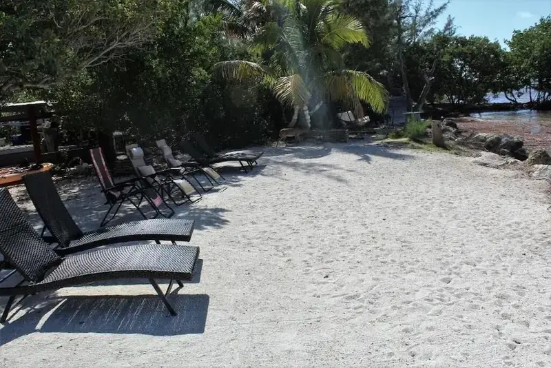 Transats alignés sur une plage de sable blanc bordée de végétation tropicale.