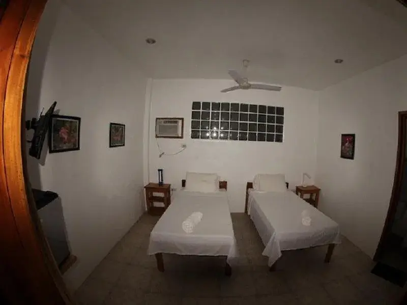 Une chambre lumineuse avec deux lits simples et un ventilateur au plafond.
