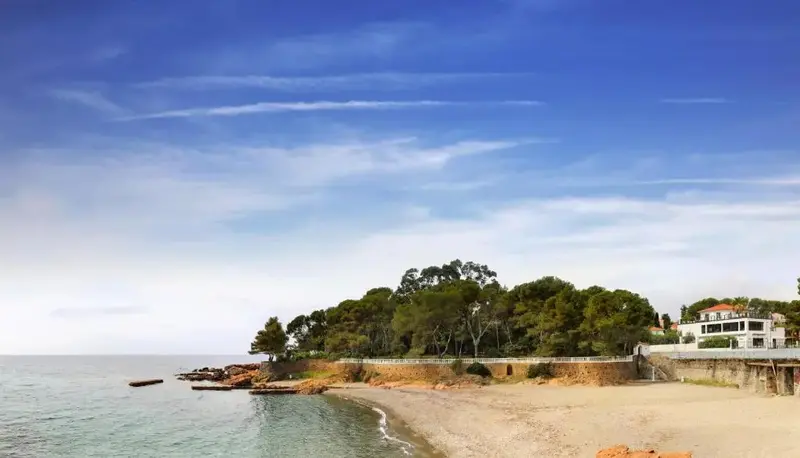 Une plage de sable fin bordée de végétation et d'une mer calme sous un ciel bleu.