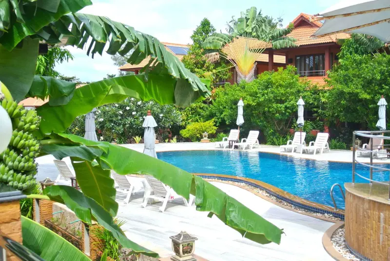 Une piscine bordée de chaises longues et de végétation luxuriante.