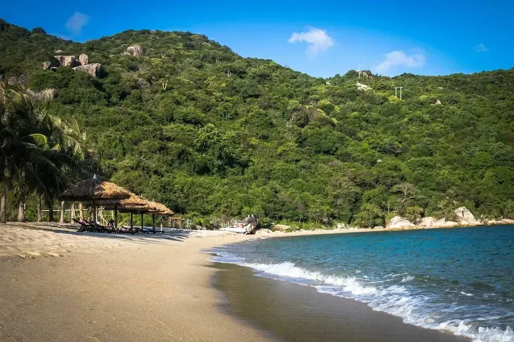 Une plage de sable fin borde une mer turquoise au pied d'une colline verdoyante.