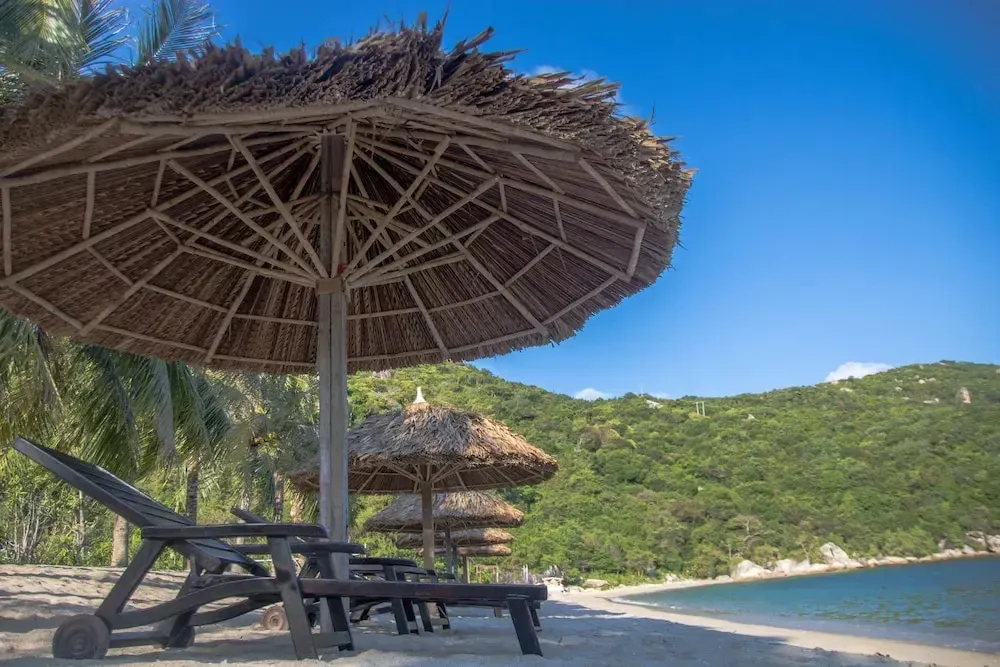 Transats et parasols en chaume sur une plage de sable fin.