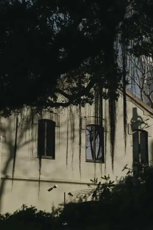 Photo de l’hôtel