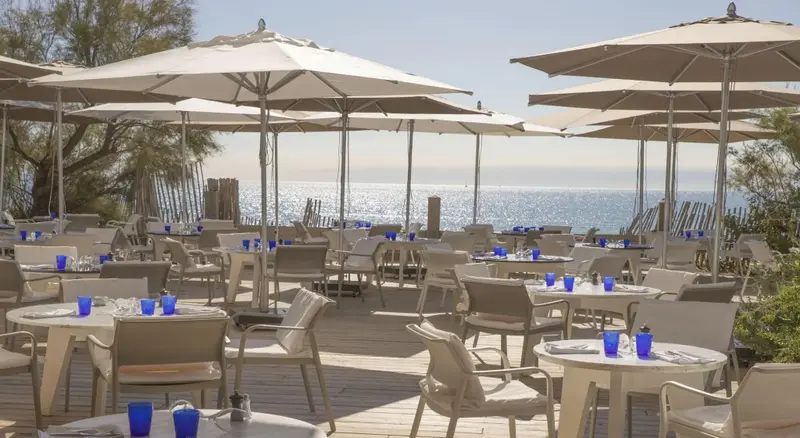 Terrasse ombragée avec tables et chaises face à la mer.