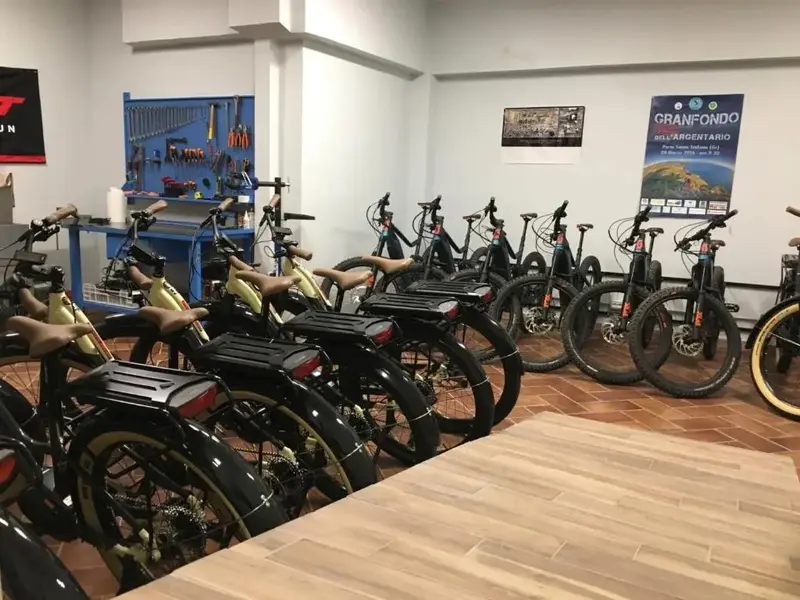 Une rangée de vélos est exposée dans un local spacieux et lumineux.