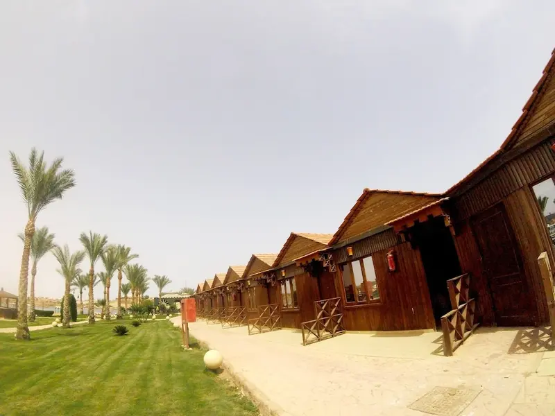 Alignée de bungalows en bois avec toits de chaume, sur un terrain verdoyant.
