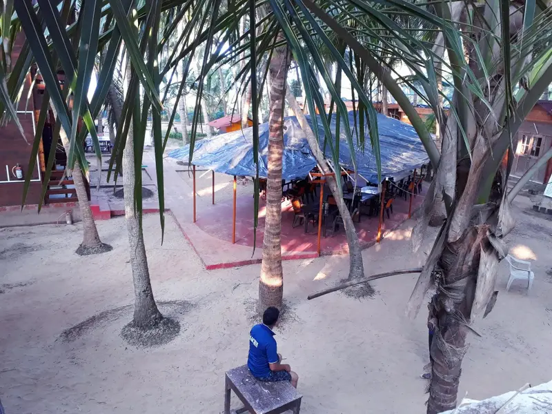 Une zone de sable abritée par des palmiers accueille des tables et des chaises sous des auvents.