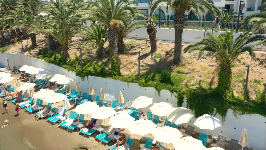 Transats et parasols sur une plage de sable fin bordée de palmiers.