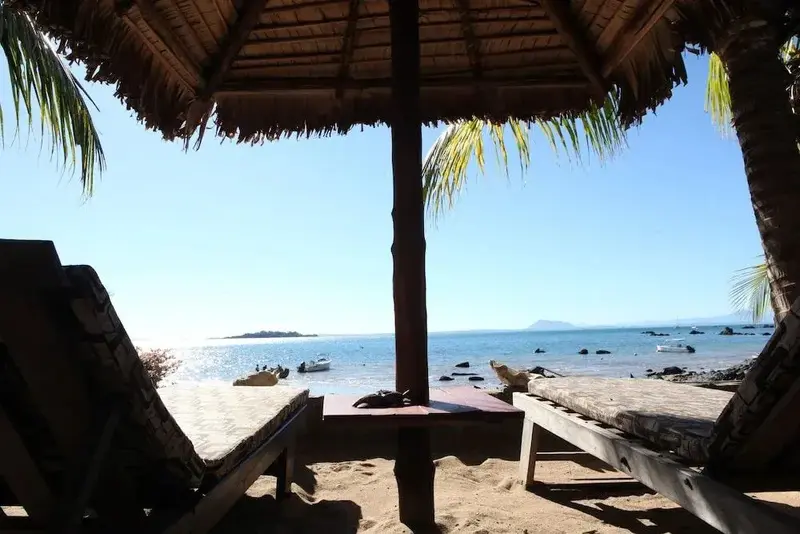 Vue sur la mer depuis un abri de plage ombragé.