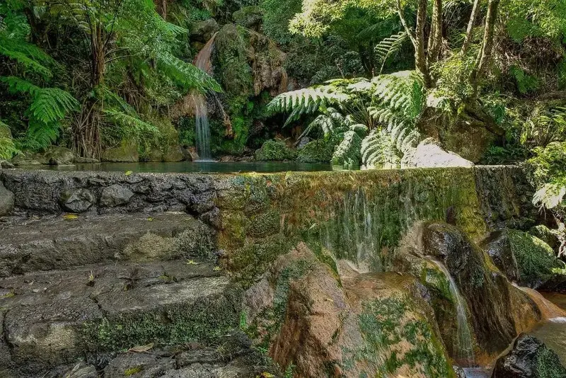 Une cascade alimente un bassin d'eau entouré d'une végétation luxuriante.