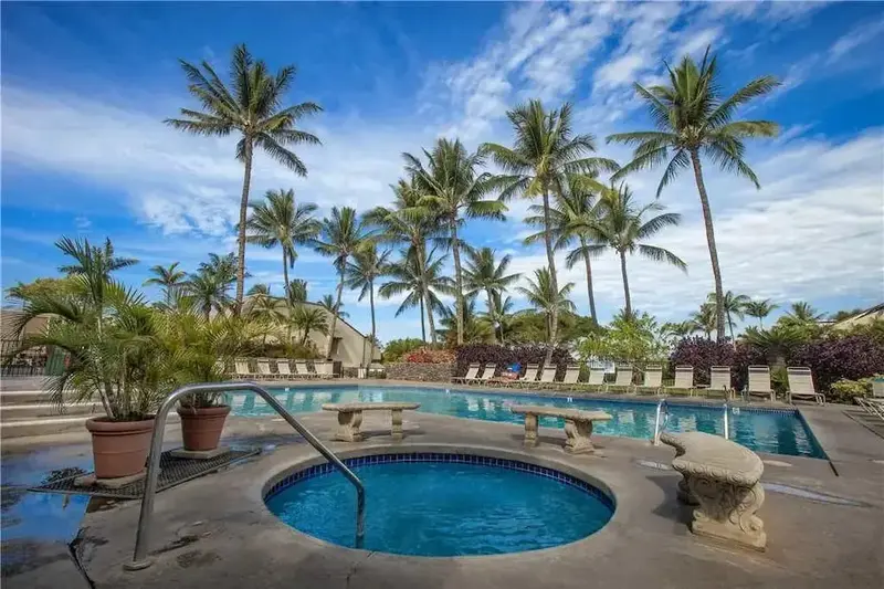 Une piscine avec un jacuzzi intégré, entourée de chaises longues et de palmiers.