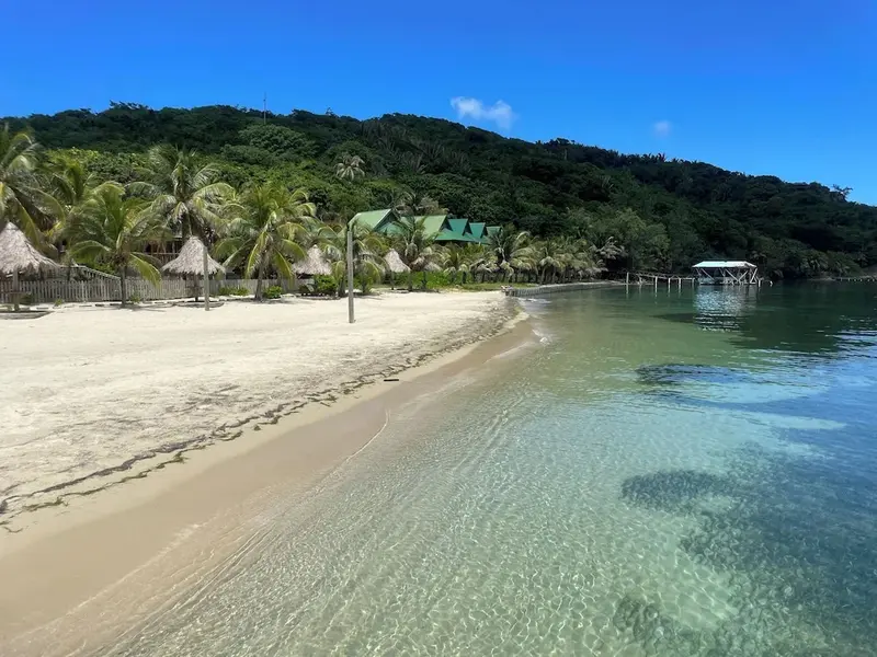 Une plage de sable blanc bordée d'une eau turquoise et d'une végétation luxuriante.