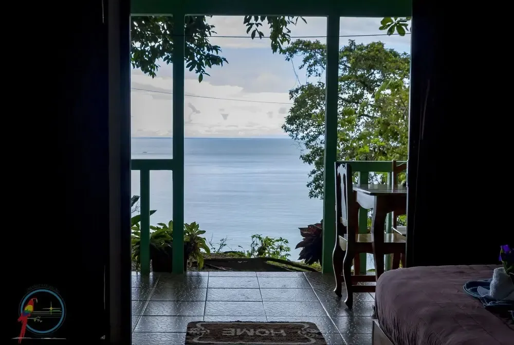 Vue sur la mer depuis une terrasse ombragée.