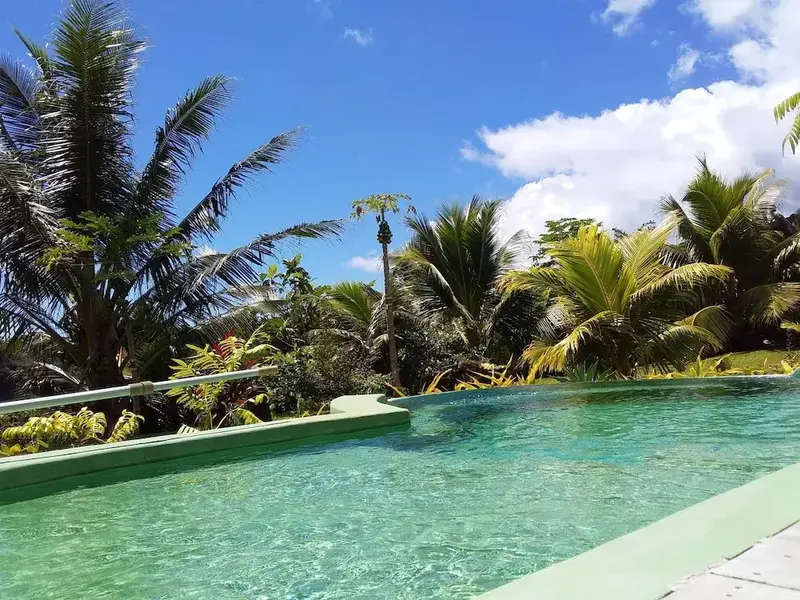Une piscine turquoise bordée de végétation luxuriante sous un ciel bleu nuageux.