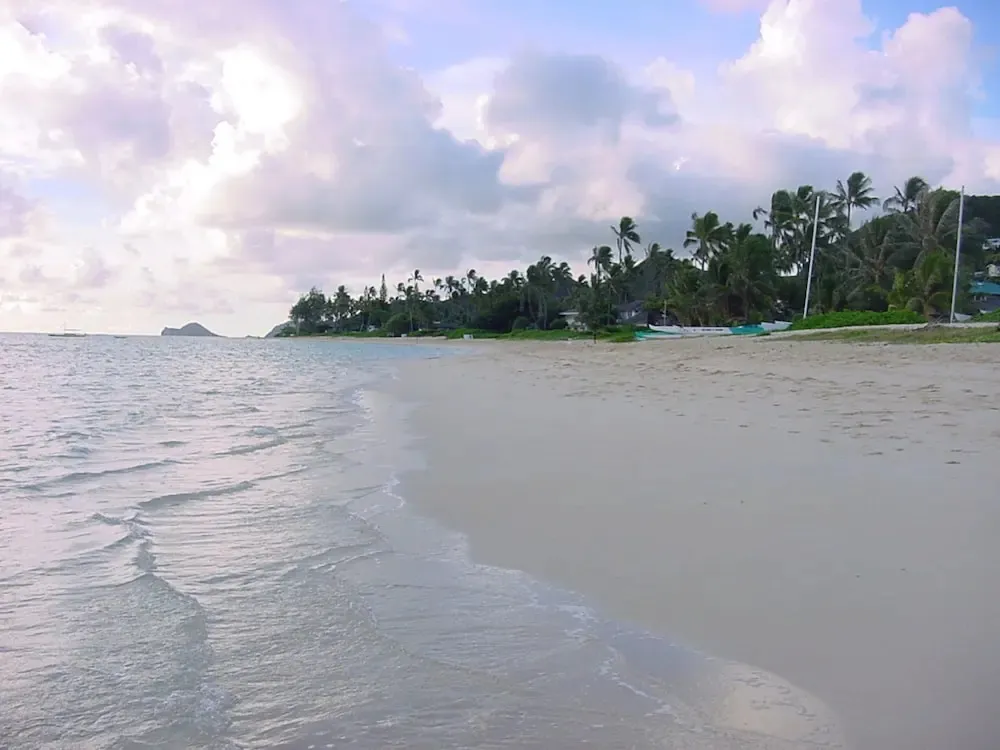 Plage de sable fin bordée de palmiers sous un ciel nuageux.