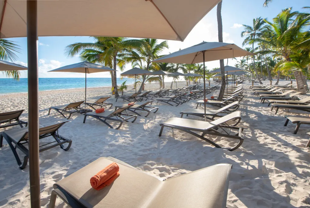 Transats et parasols sur une plage de sable blanc bordée de palmiers.