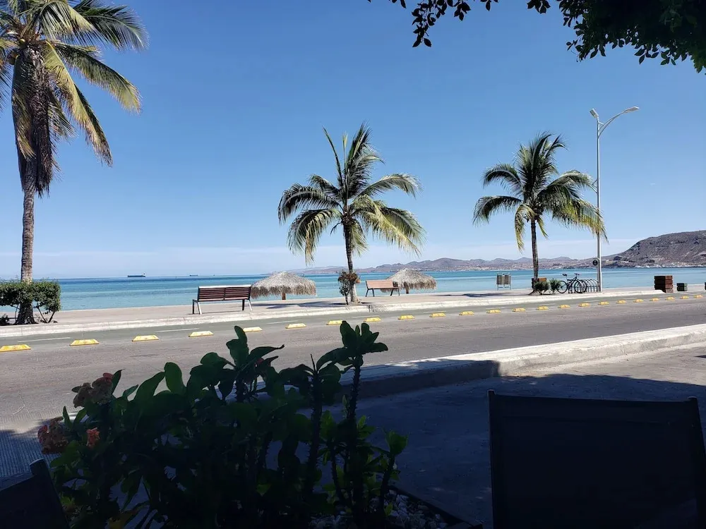Une promenade en bord de mer avec des palmiers et des bancs.