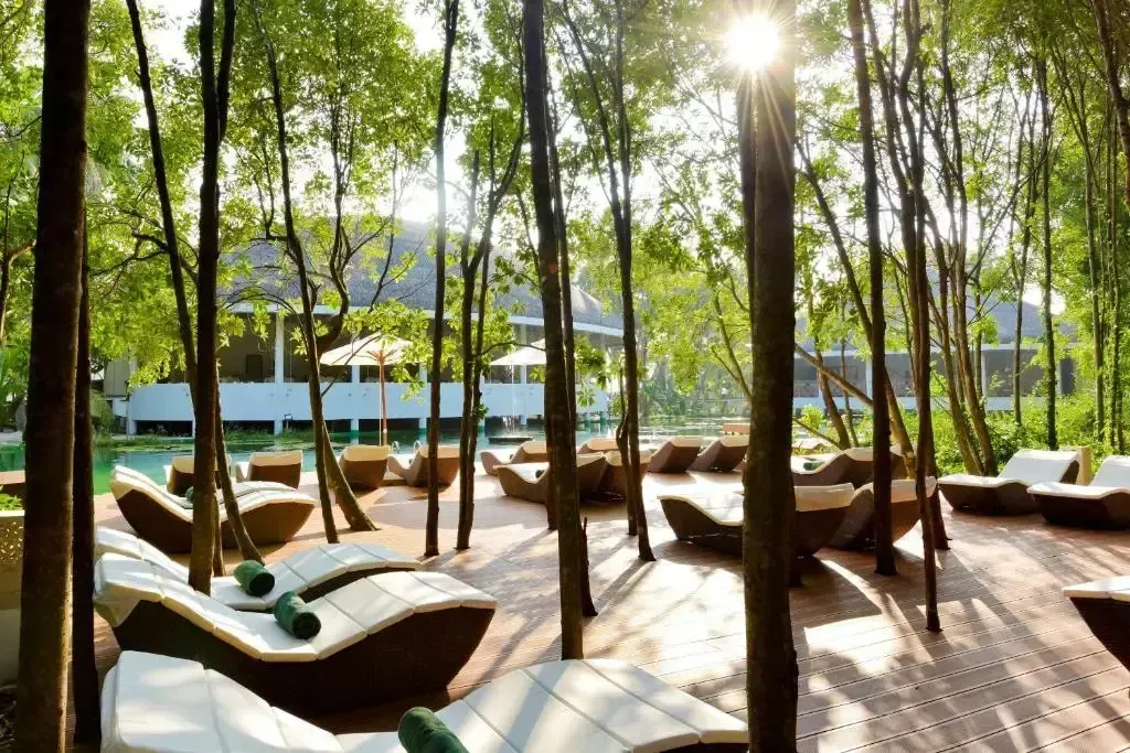 Transats blancs et bruns disposés sur une terrasse en bois ombragée par des arbres.