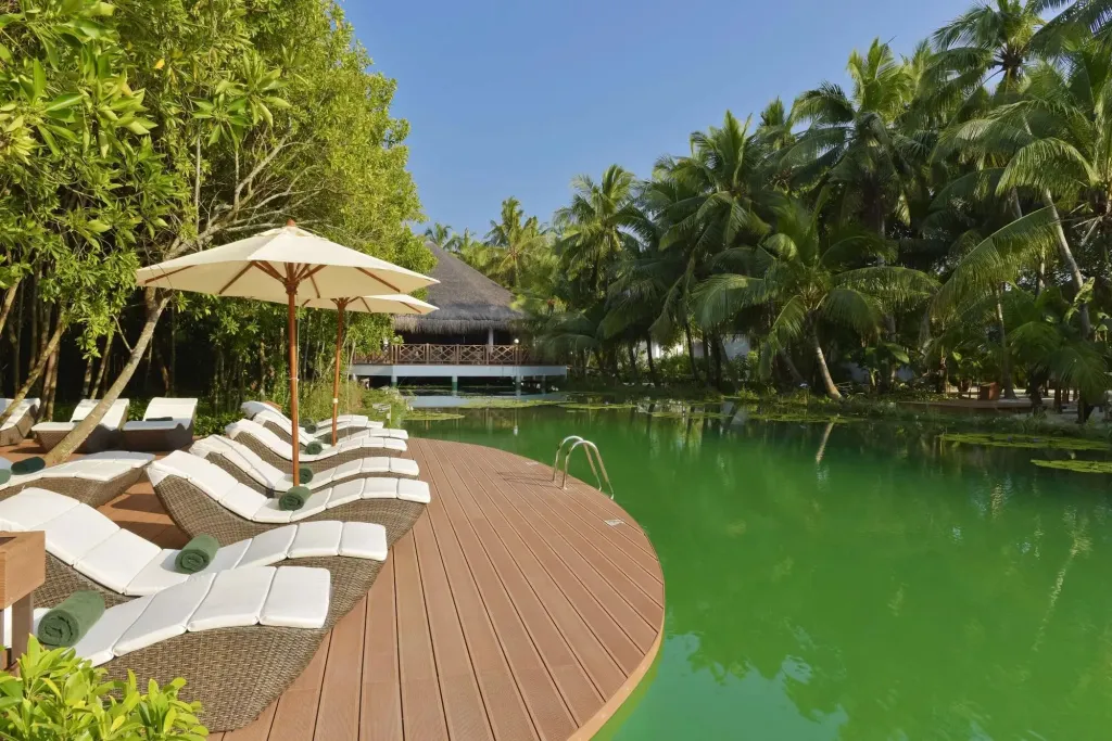 Transats blancs disposés au bord d'une piscine turquoise entourée de végétation tropicale.