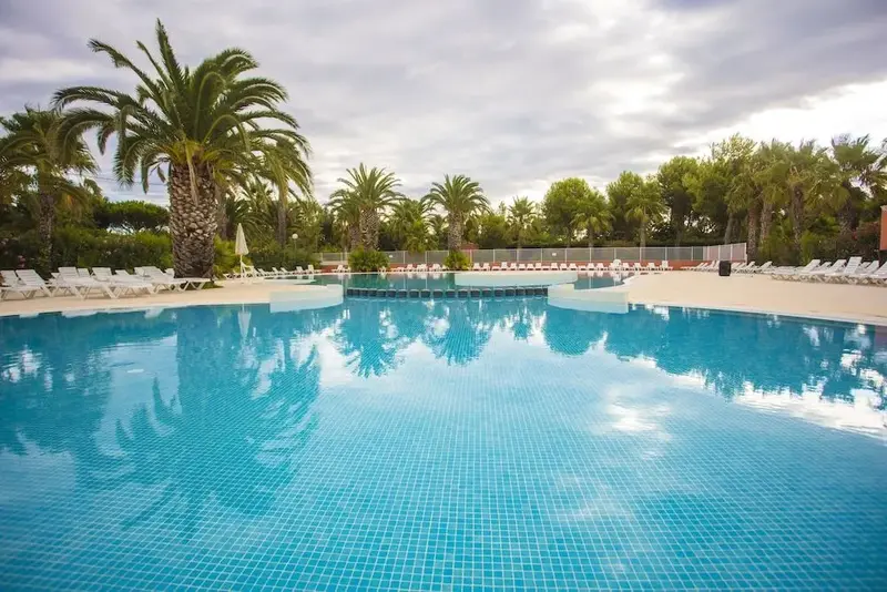 Une piscine rectangulaire avec des transats et des palmiers en arrière-plan.