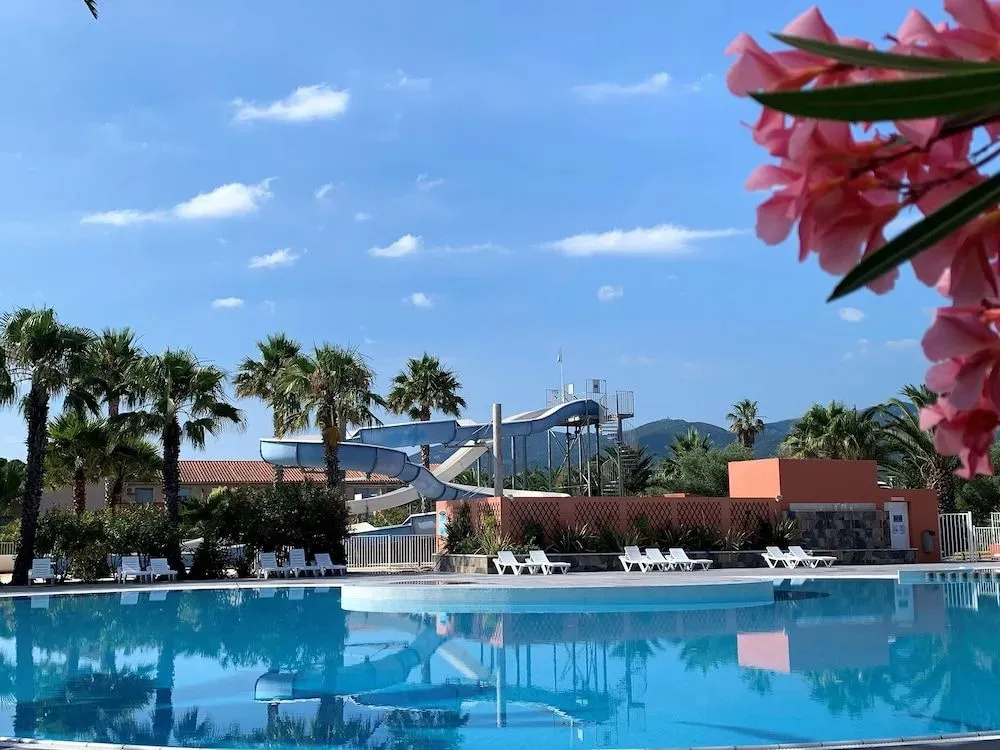 Une piscine avec un toboggan et des transats sous des palmiers.