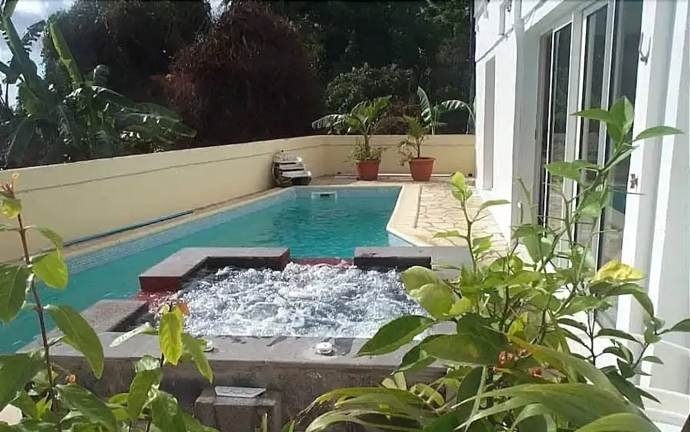Une piscine rectangulaire avec un jacuzzi attenant, entourée de végétation et d'un mur.