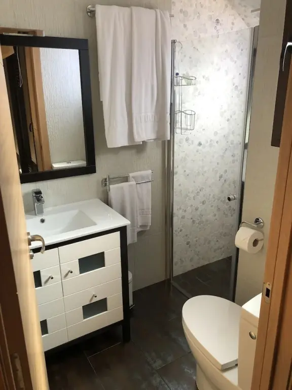 Une salle de bain avec douche et toilettes.