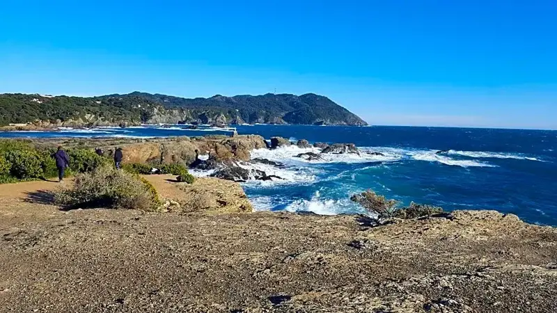 Côte rocheuse avec végétation et vagues déferlantes sous un ciel bleu.