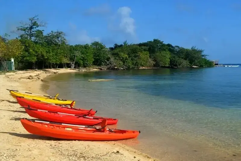 Des kayaks reposent sur une plage de sable fin bordée d'une eau turquoise.