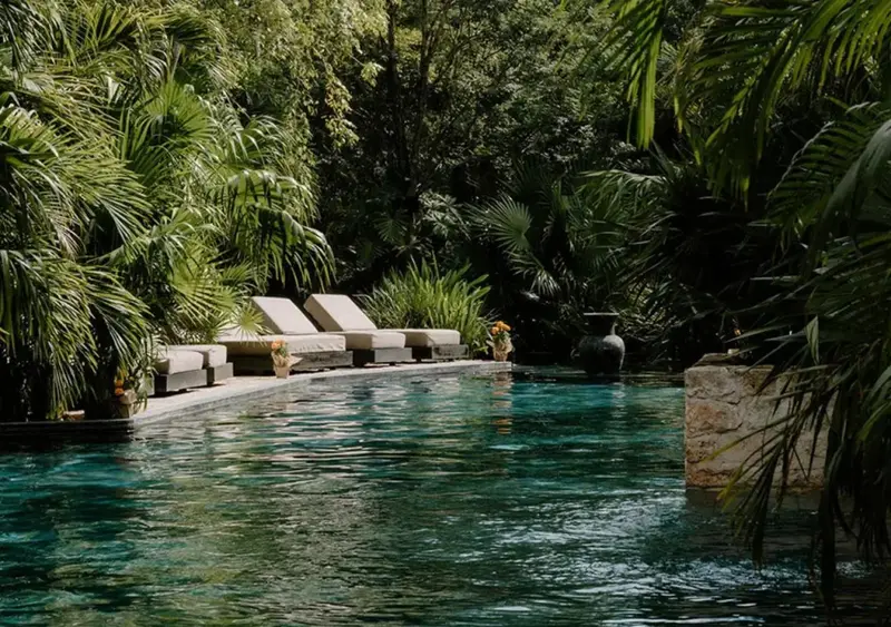 Transats alignés au bord d'une piscine entourée de végétation luxuriante.