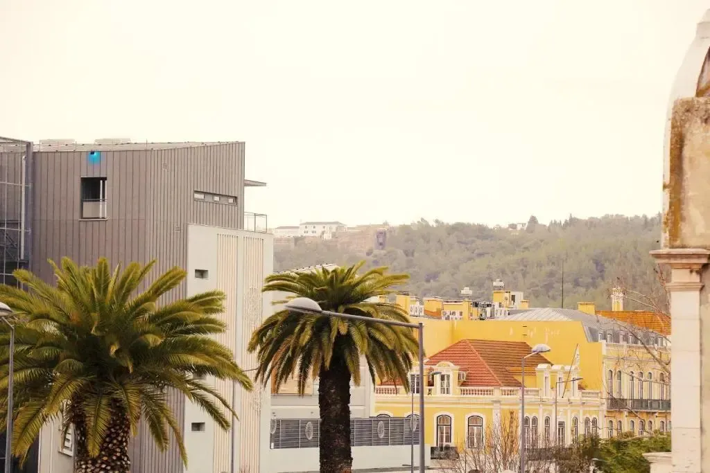 Vue d'ensemble sur une ville côtière avec des bâtiments et une végétation luxuriante.