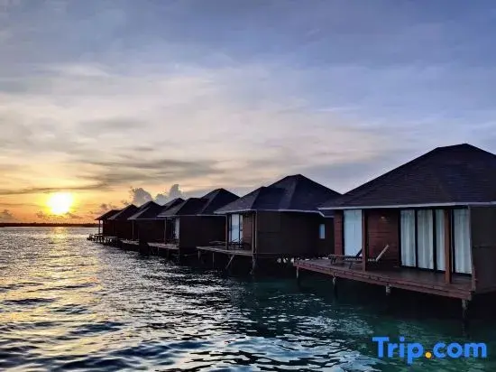 Cabanes sur pilotis au coucher du soleil sur une eau calme.