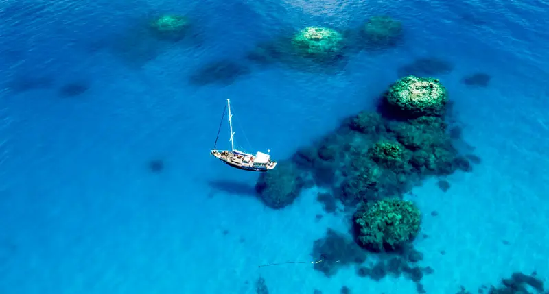 Coral Sea Dreaming